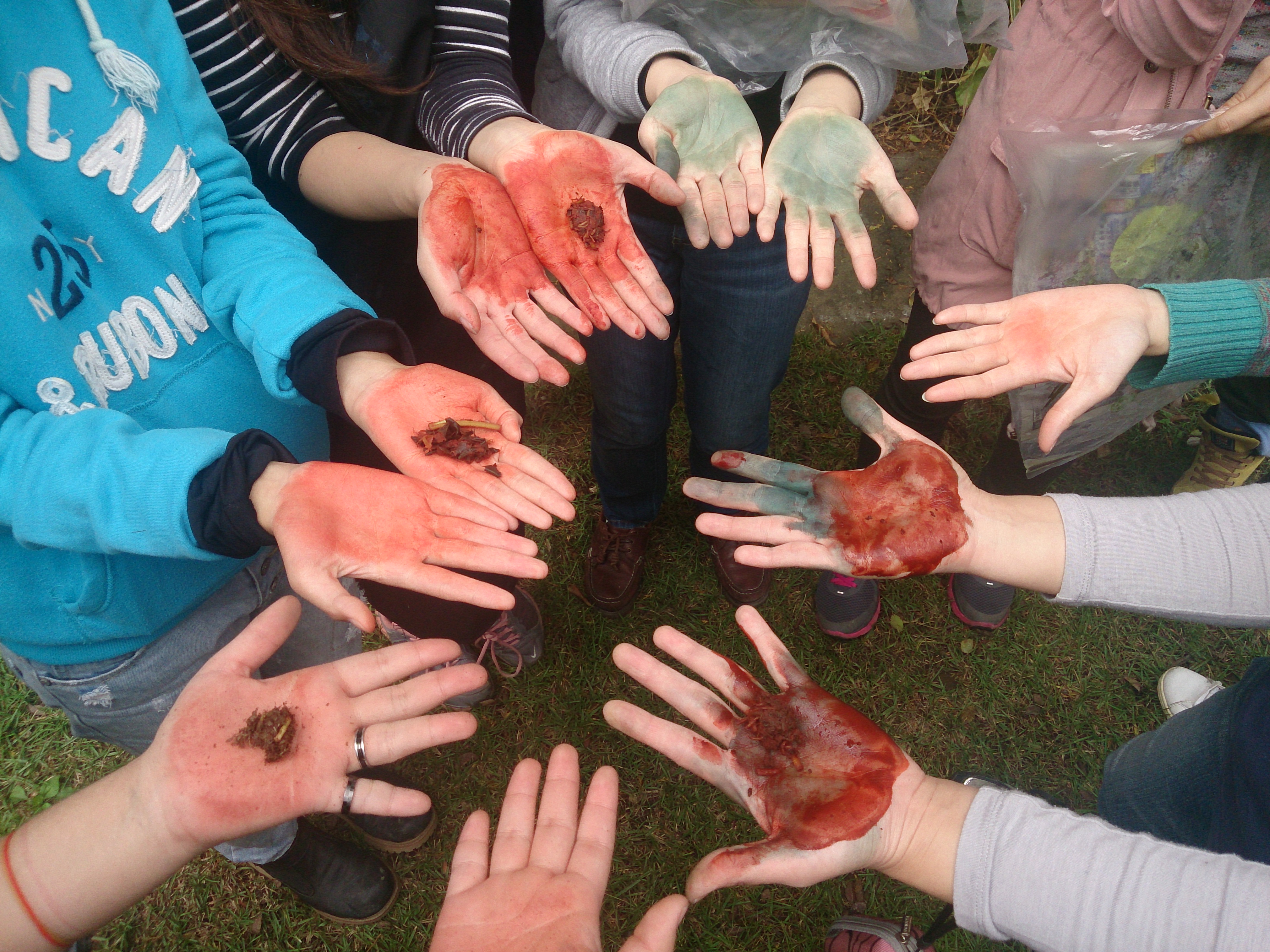 field school of natural dyeing