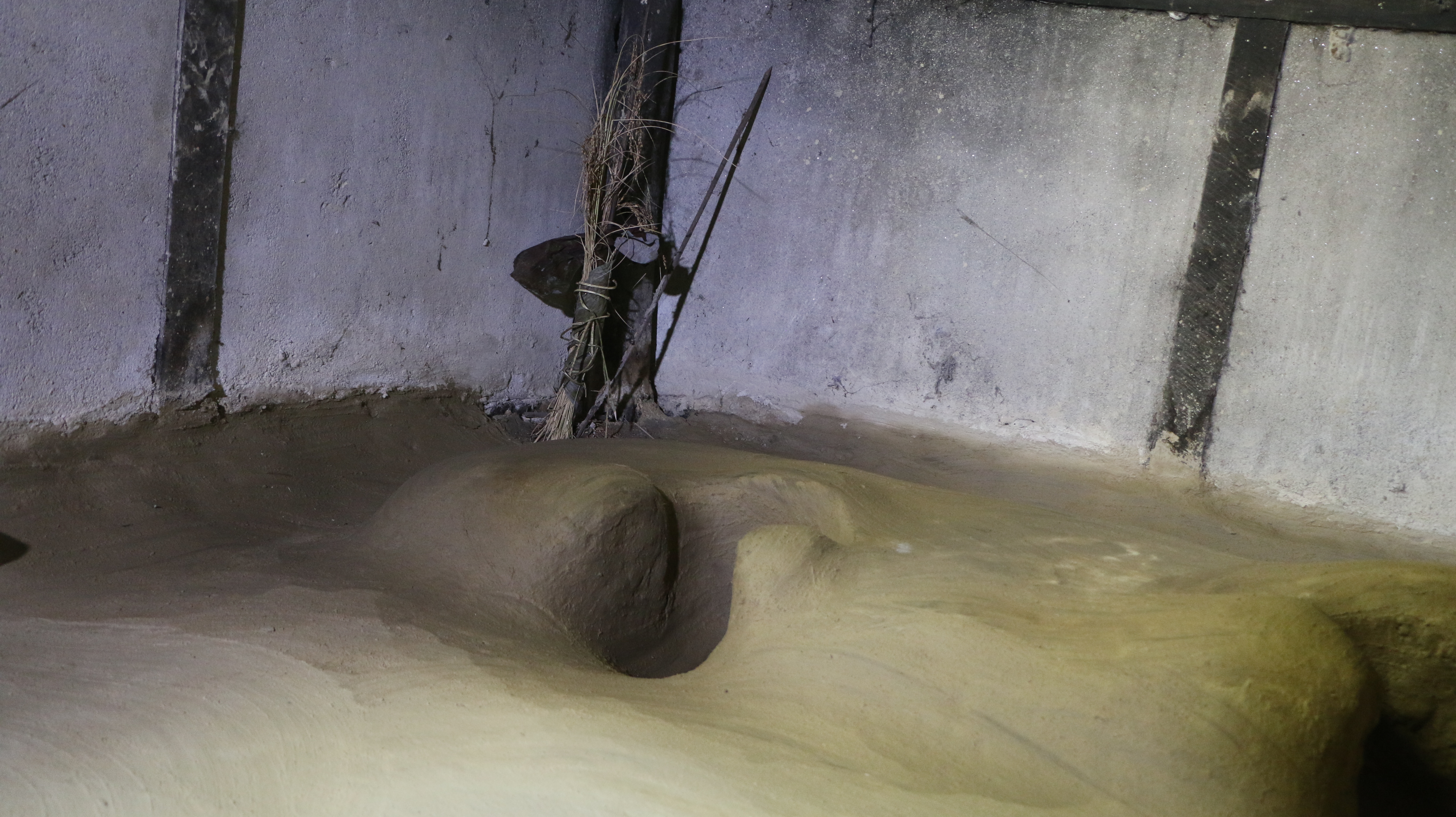 Kokrajhar, rice, ritual