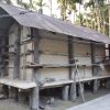 Kokrajhar, rice, Boro, granary, tradition, store house